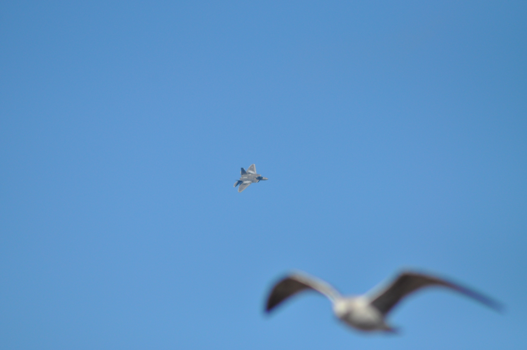 dsc_0060_20121007_6534.jpg