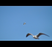 DSC_0060_20121007_6534