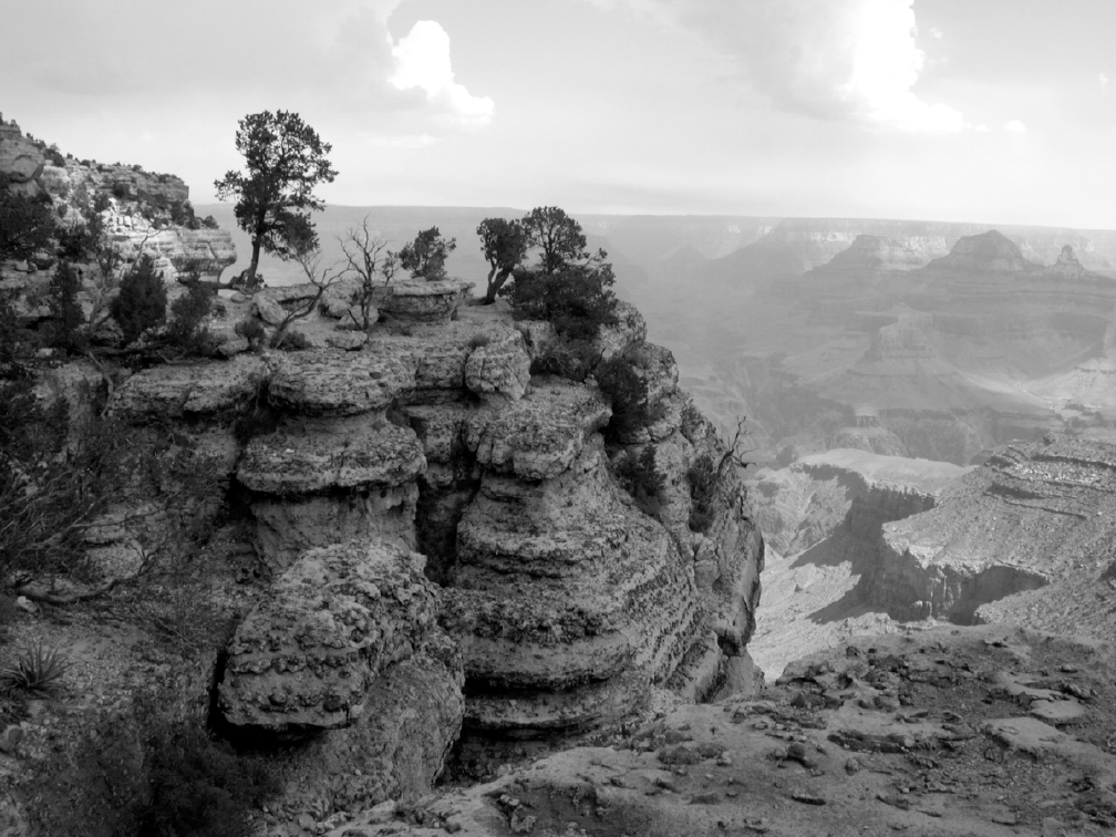 grandcanyon1.jpg