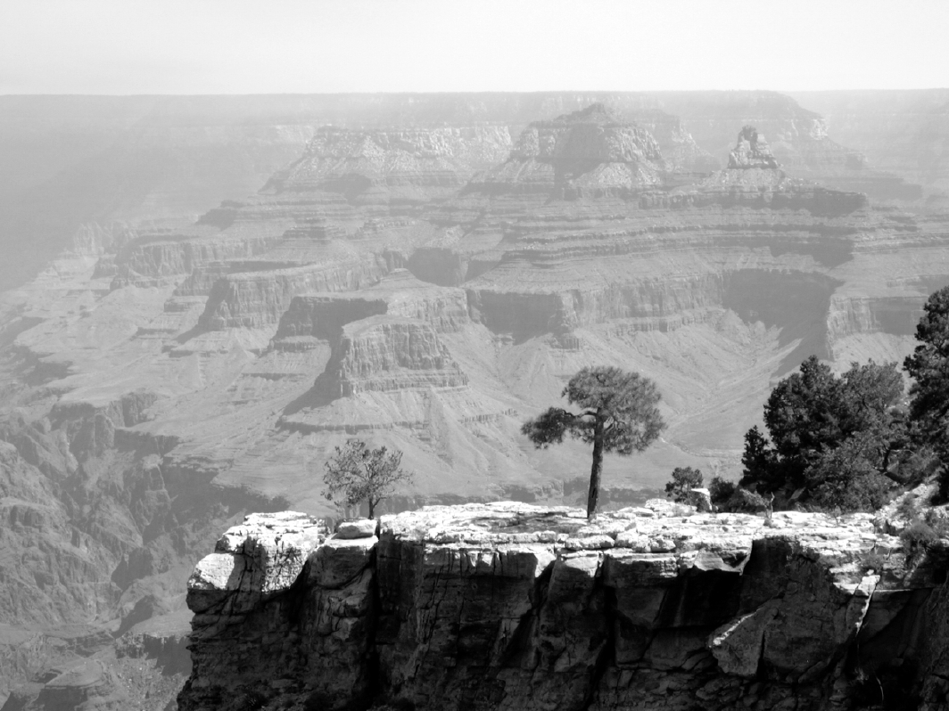 grandcanyon2.jpg