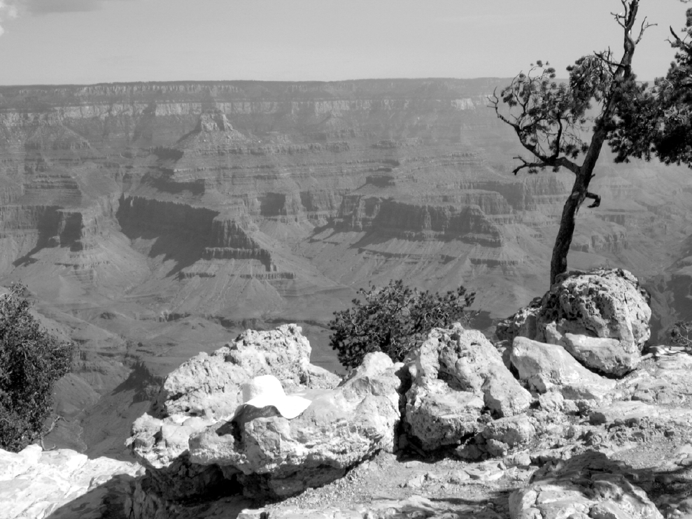 grandcanyon3.jpg