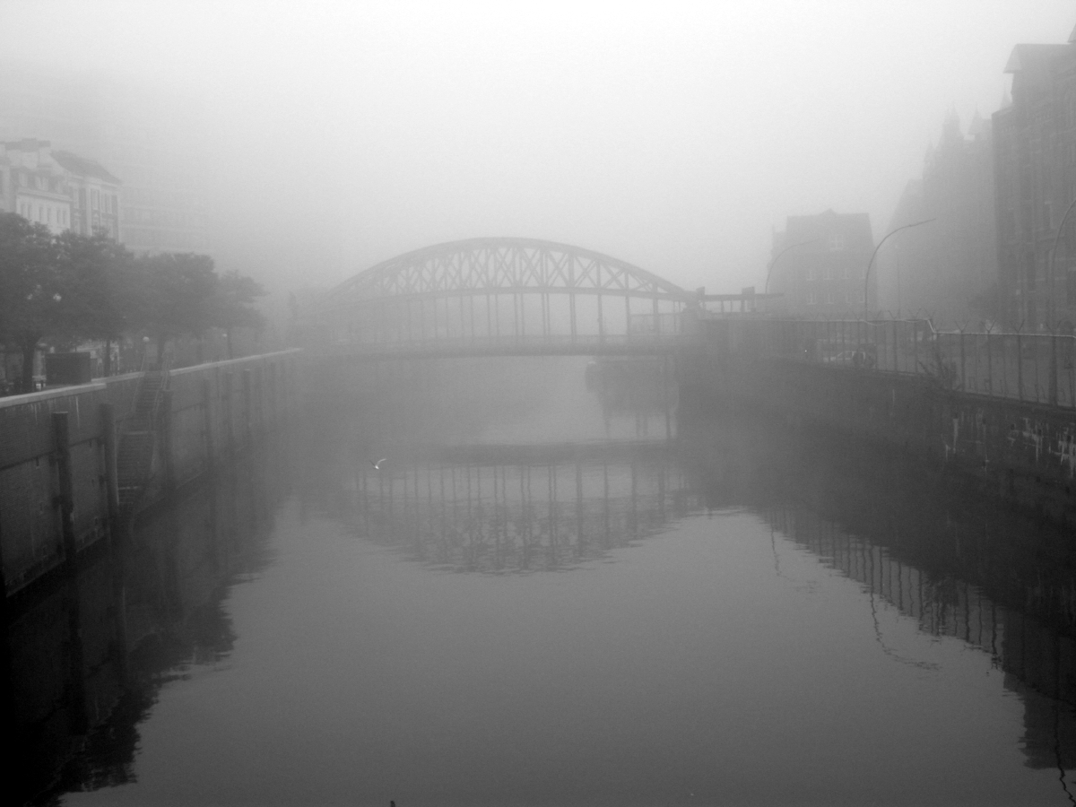 hamburgfog2.jpg