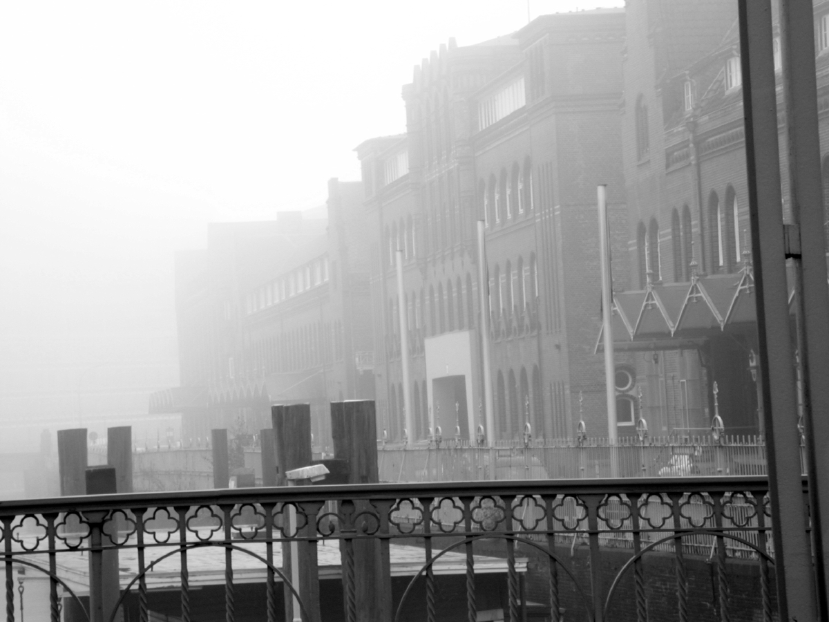 hamburgfog5.jpg