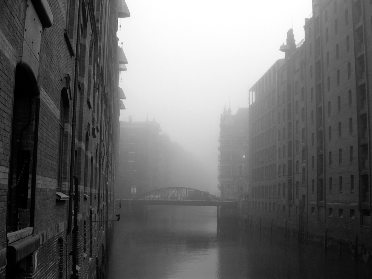 hamburgfog6.jpg