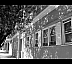 LosGatos3