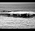 Ocean3