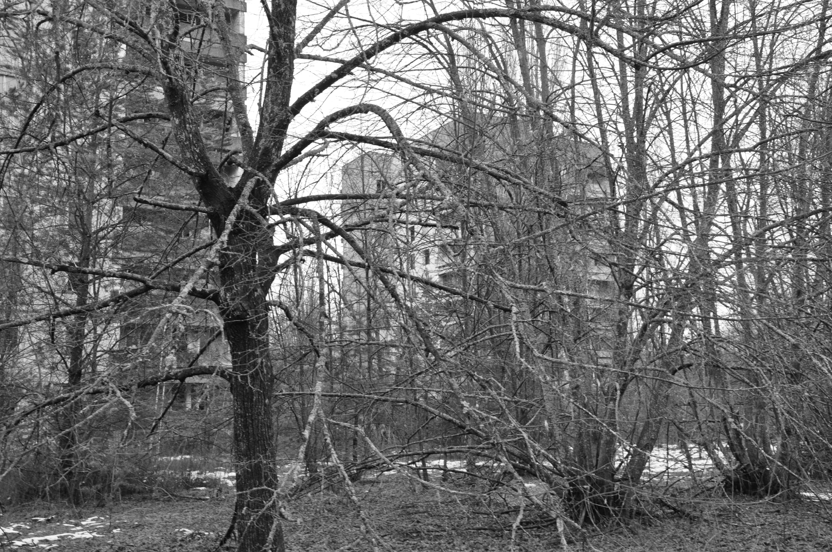 dsc_0272_20171214_8544.jpg