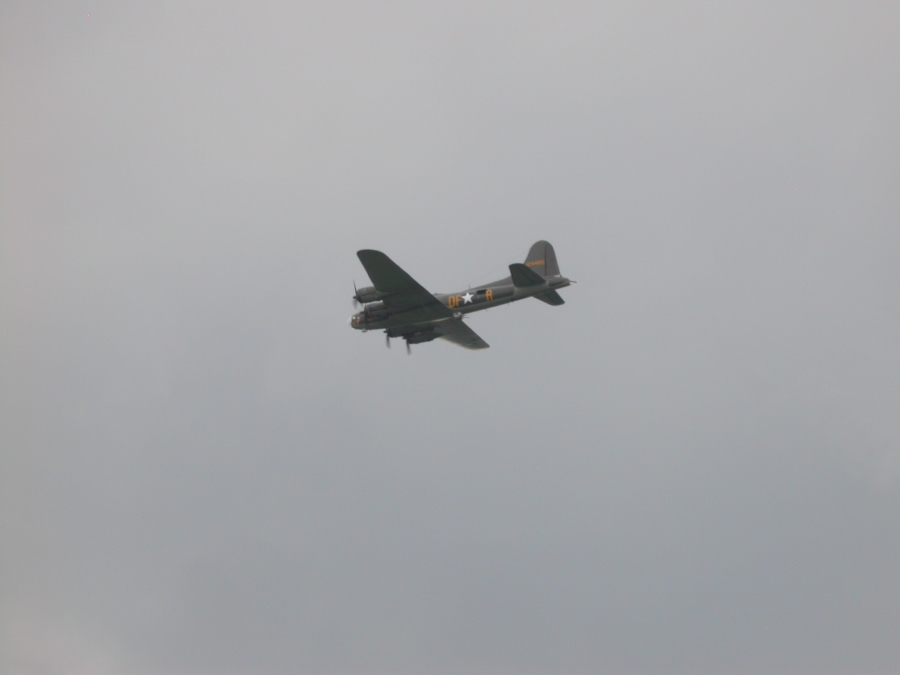 dscn6135.jpg