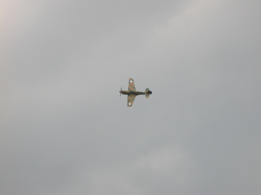 dscn6145.jpg