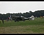 dscn6133