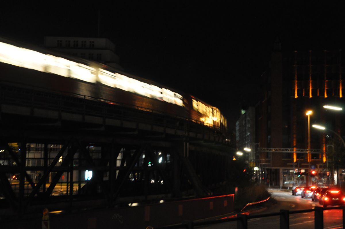 dsc_0050_20091017_2583.jpg