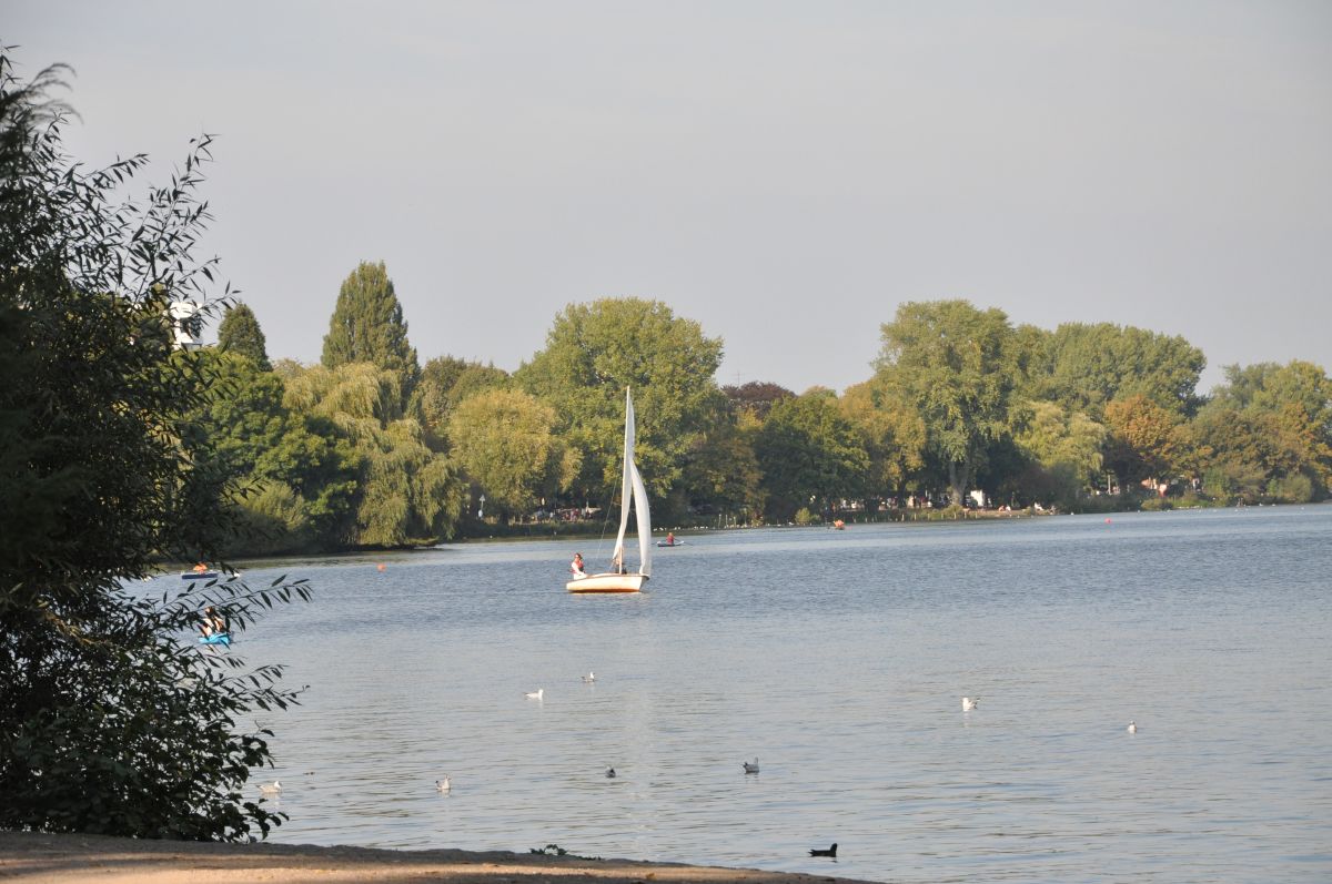 dsc_0079_20090927_2413.jpg
