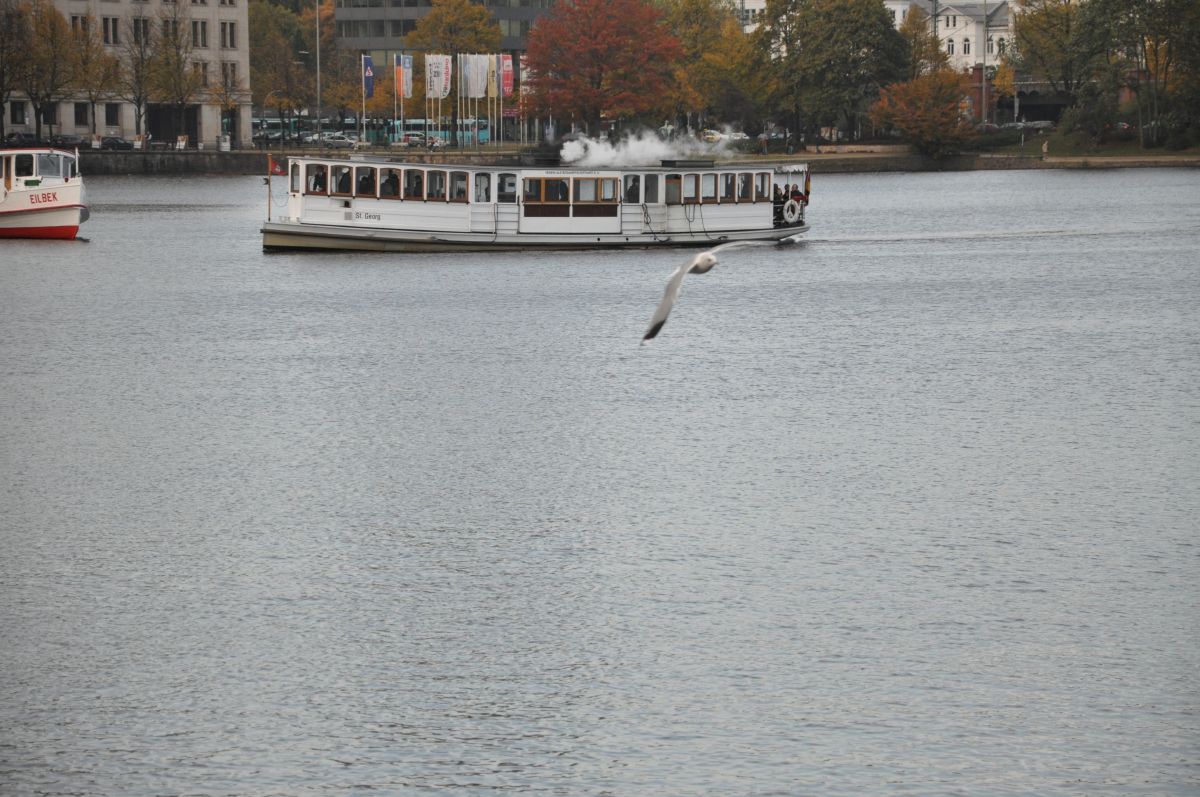 dsc_0170_20091025_2700.jpg