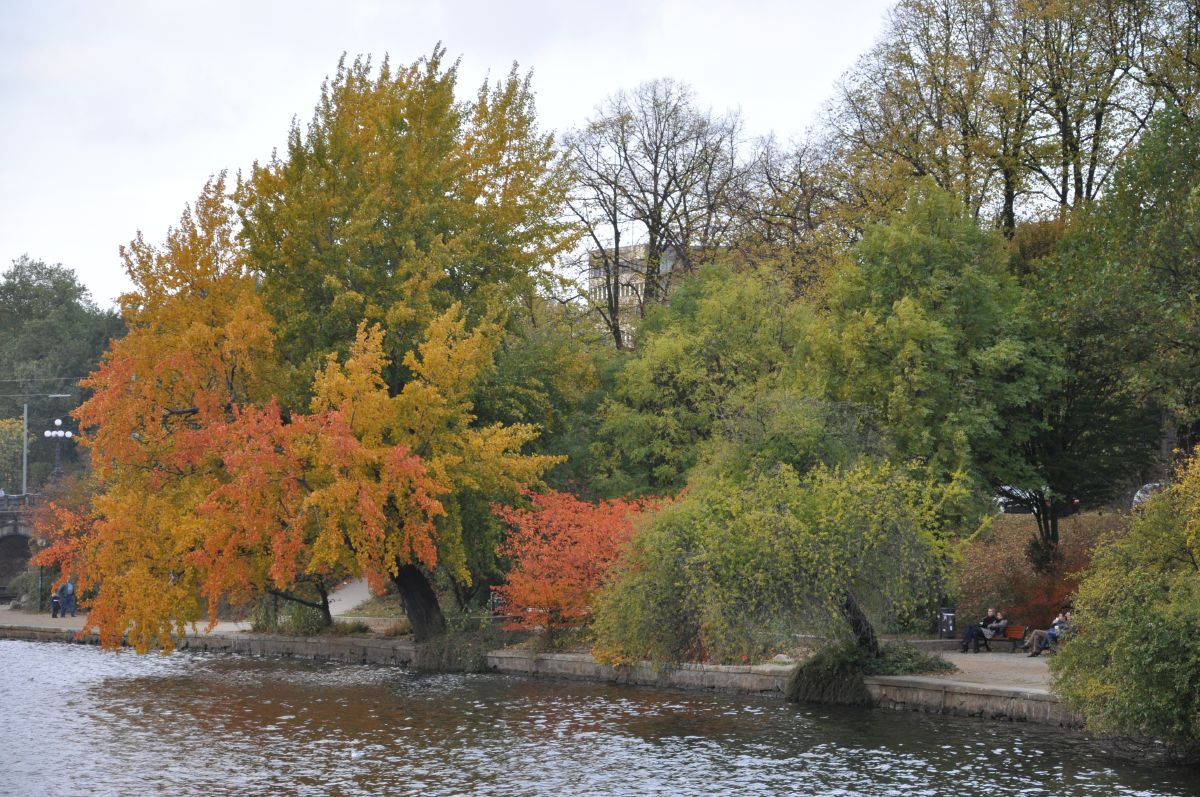 dsc_0176_20091025_2706.jpg