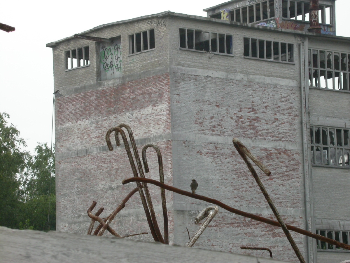 dscn0881.jpg