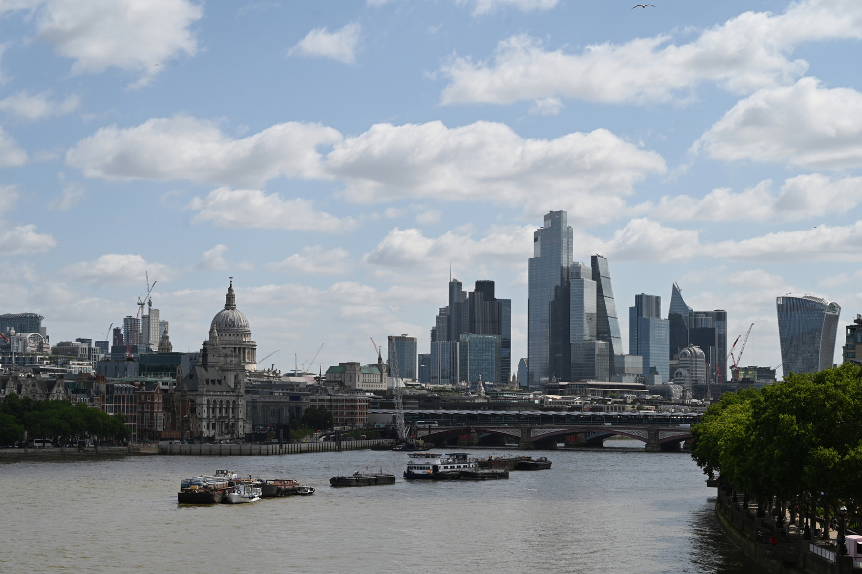 dsc_3771.jpg