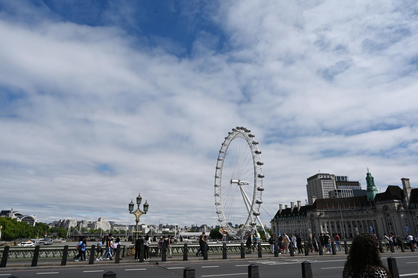dsc_3875.jpg