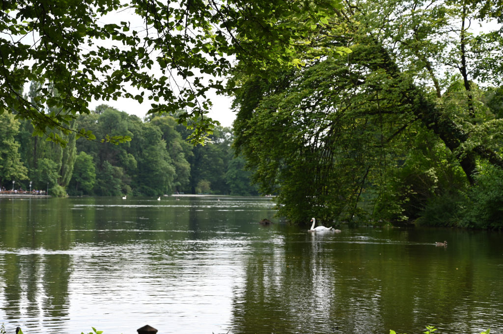 dsc_3663.jpg