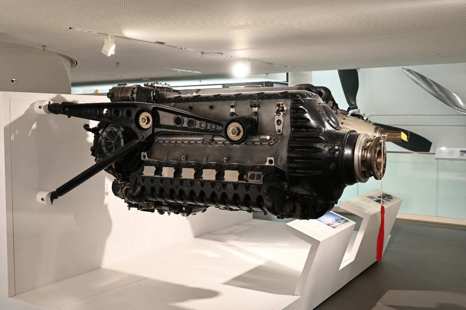 dsc_3562.jpg