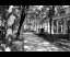 OdessaPark2