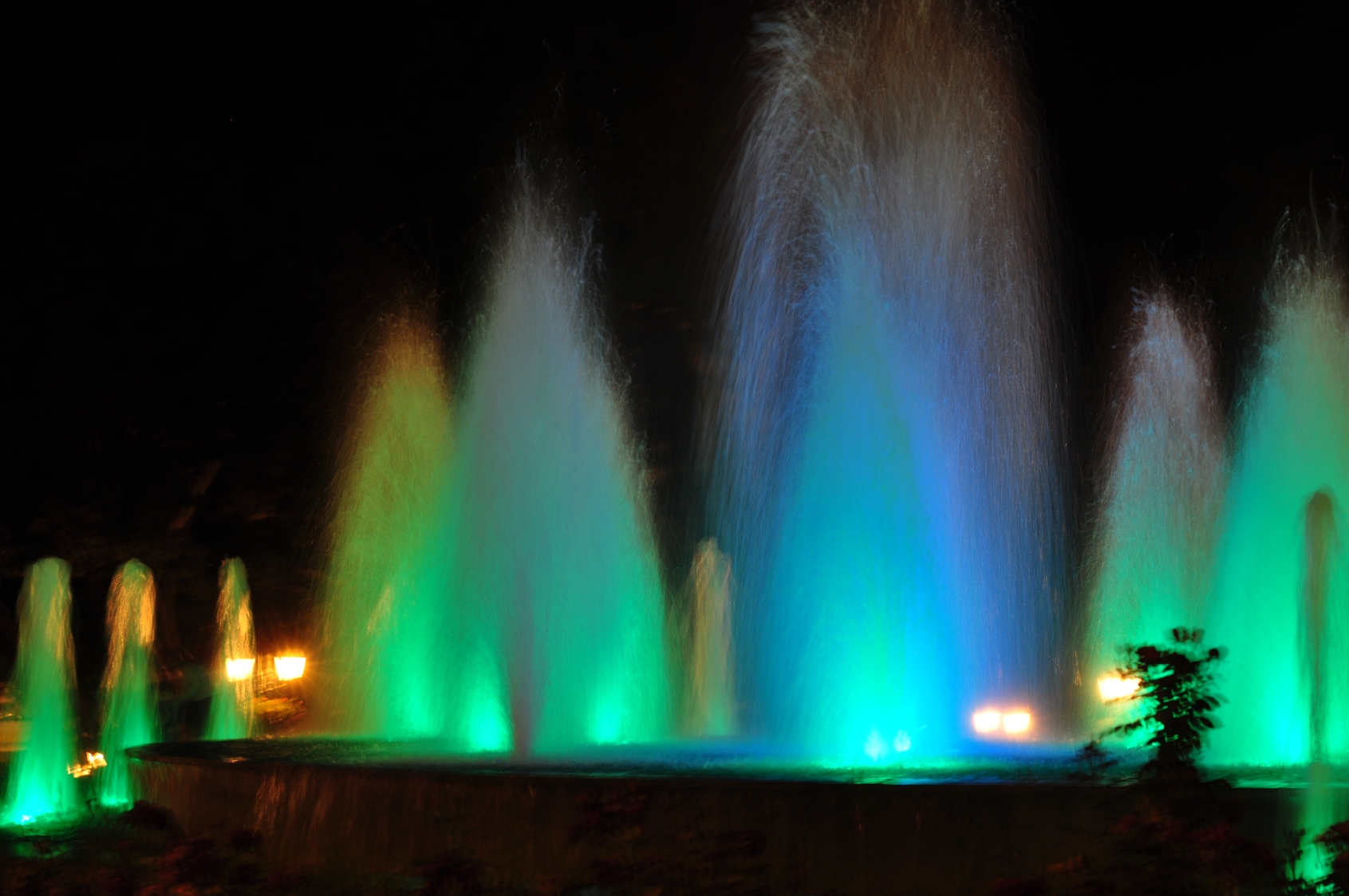 dsc_0062_20180617_9155.jpg