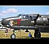 DSC_0196_20090729_1671