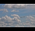 DSC_0401_20090731_1876