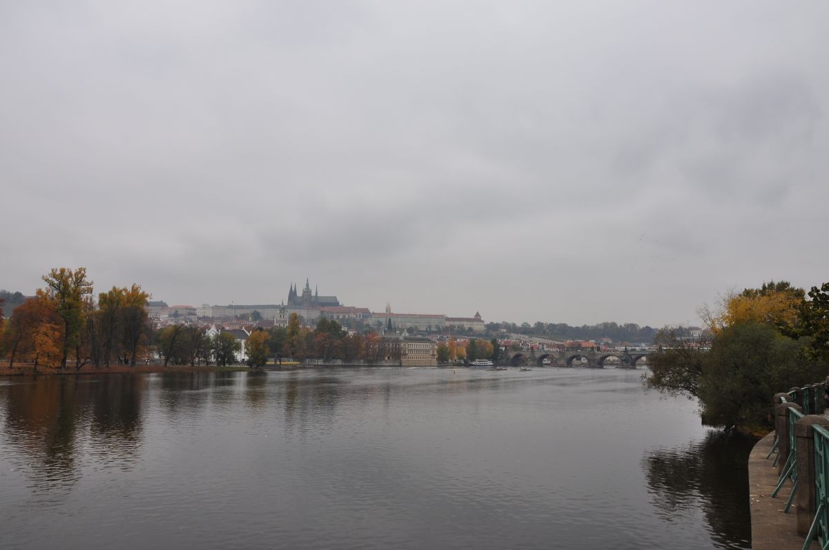 dsc_0071_20091031_2780.jpg