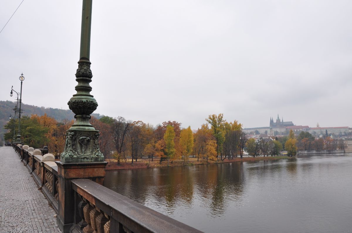 dsc_0074_20091031_2783.jpg
