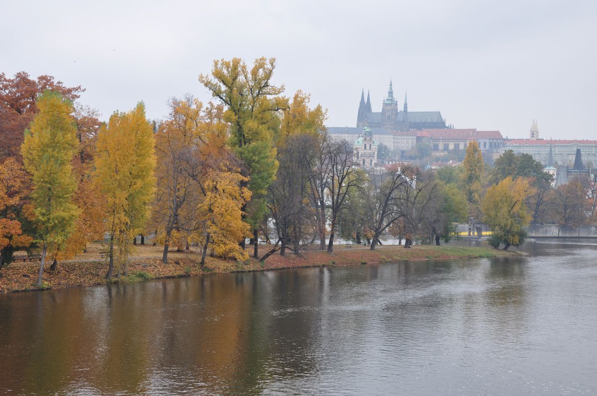 dsc_0078_20091031_2787.jpg