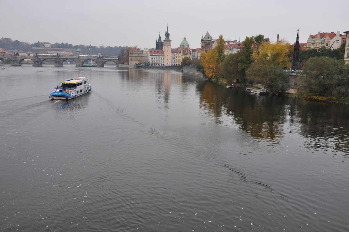 dsc_0084_20091031_2793.jpg
