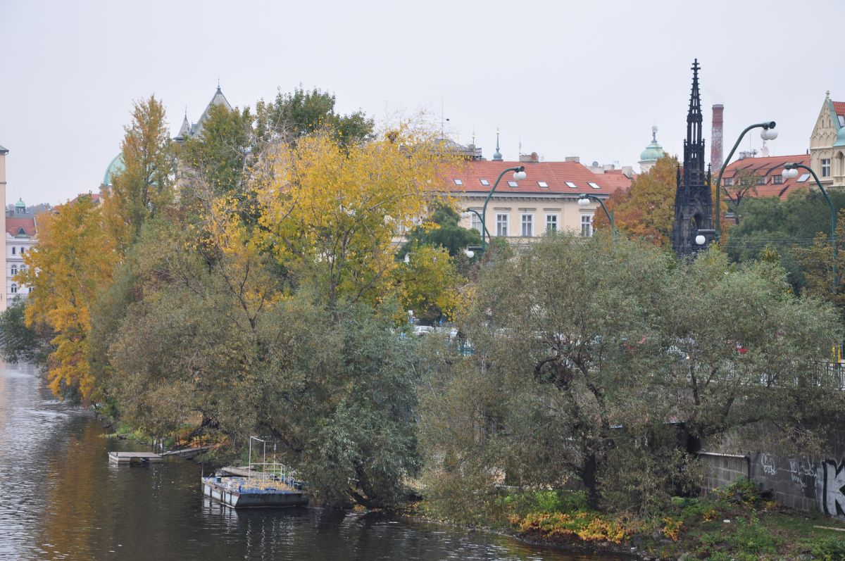 dsc_0087_20091031_2796.jpg