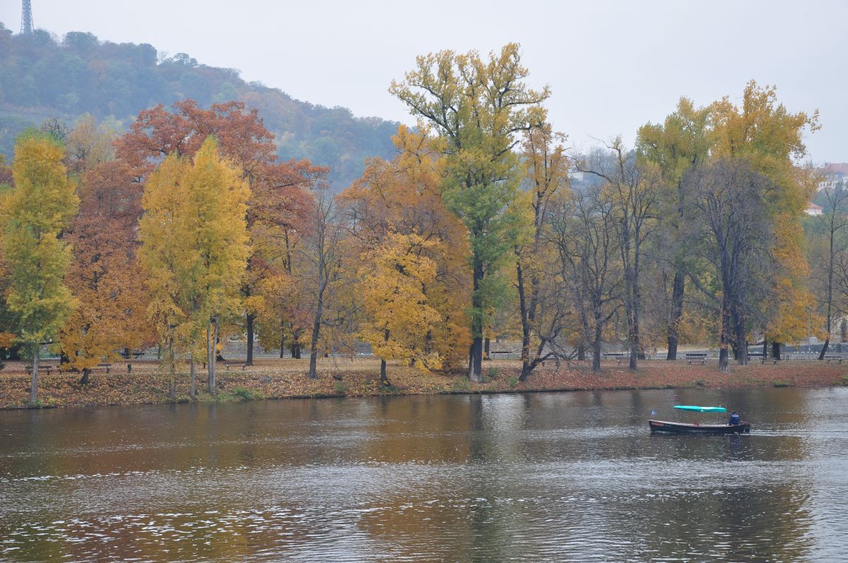 dsc_0092_20091031_2801.jpg