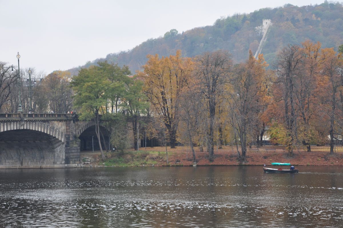 dsc_0093_20091031_2802.jpg