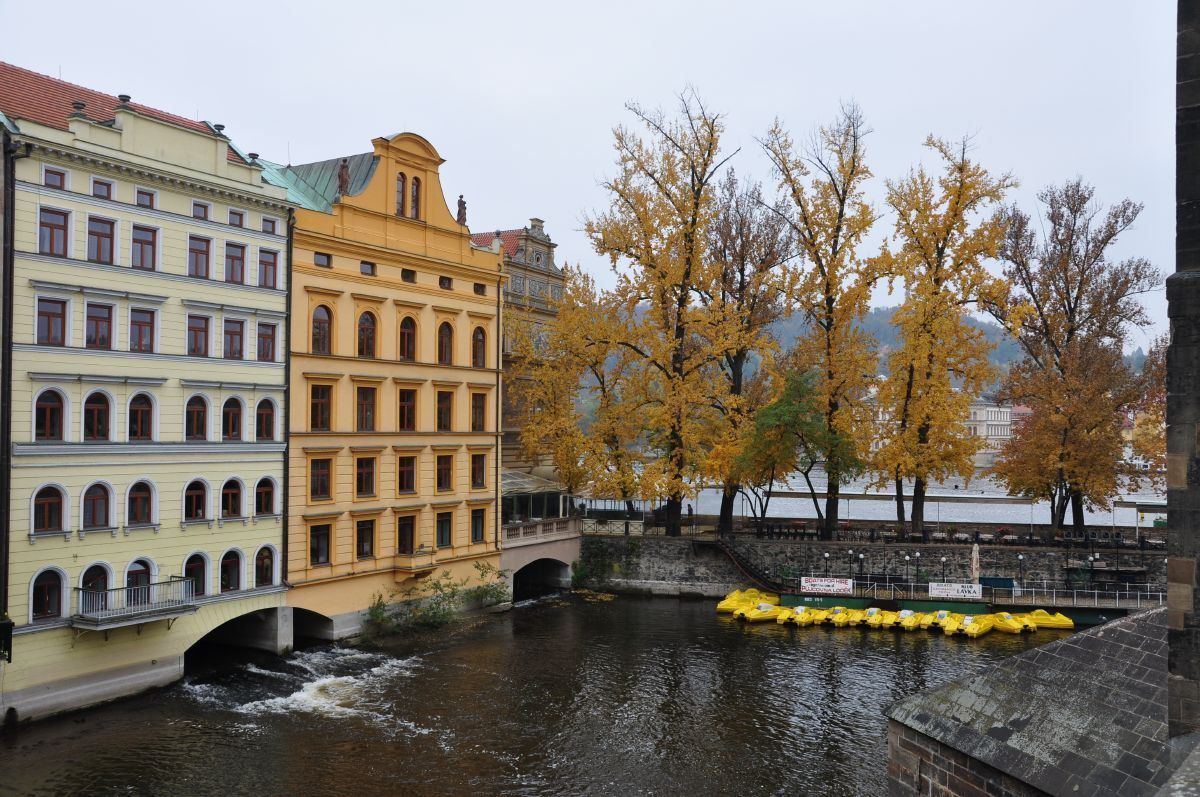 dsc_0126_20091031_2835.jpg