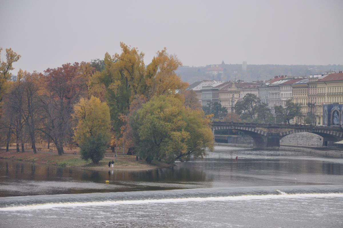 dsc_0136_20091031_2845.jpg
