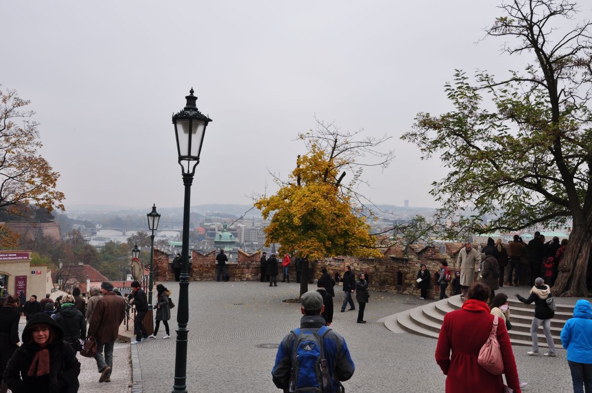 dsc_0251_20091031_2960.jpg