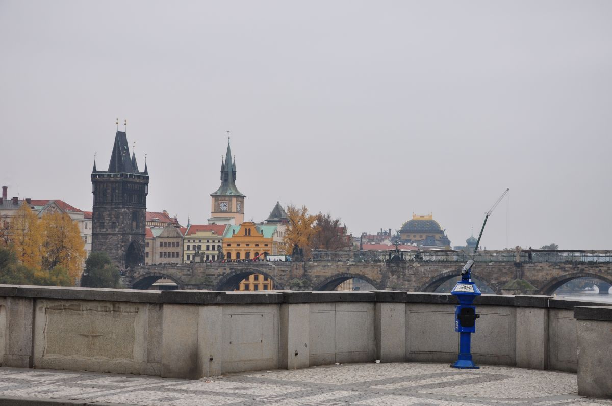 dsc_0307_20091031_3016.jpg