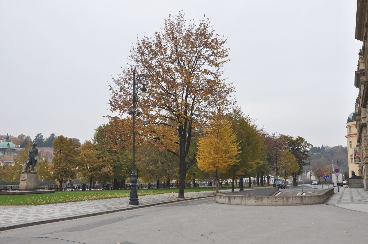 dsc_0317_20091031_3026.jpg