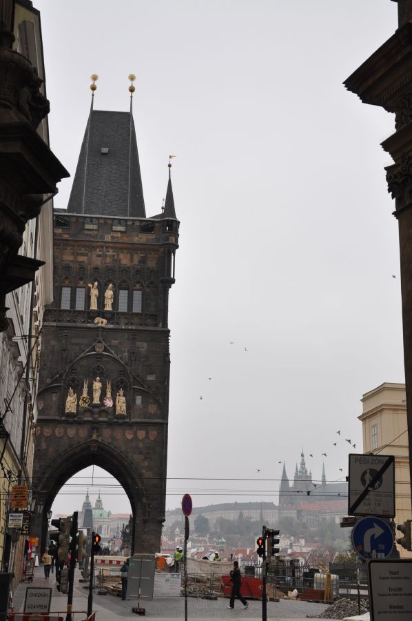 dsc_0515_20091101_3224.jpg