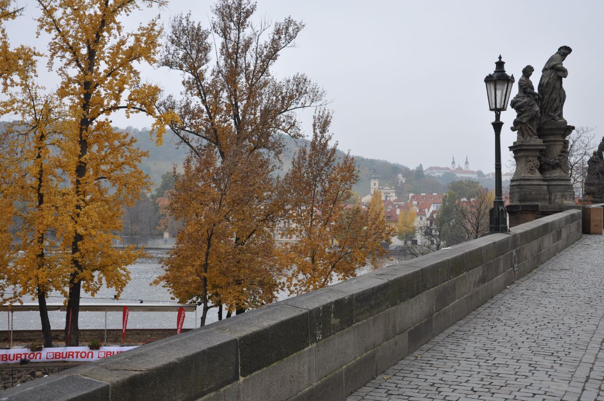 dsc_0517_20091101_3226.jpg