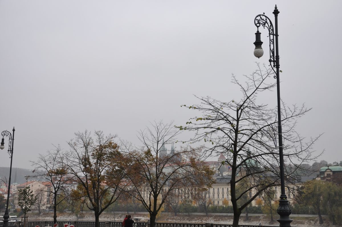 dsc_0641_20091101_3348.jpg