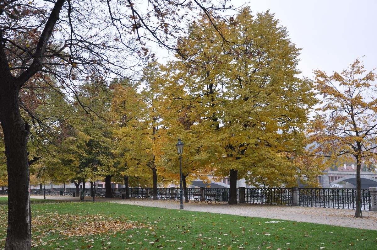dsc_0648_20091101_3355.jpg