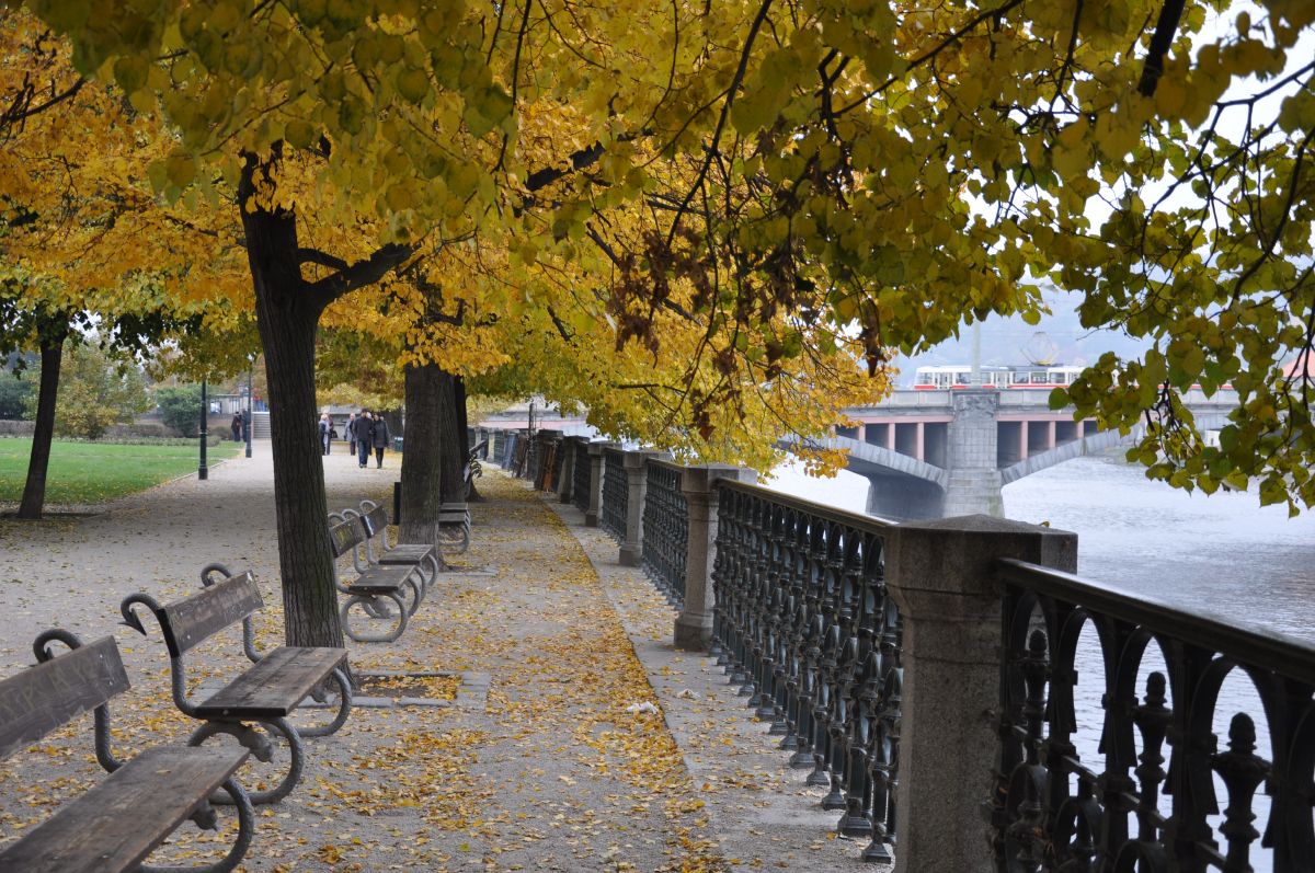 dsc_0650_20091101_3357.jpg