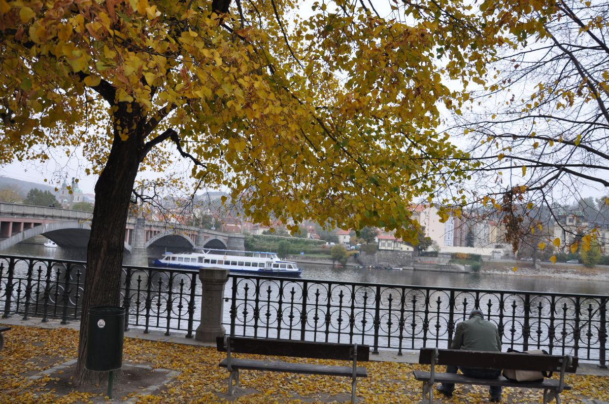 dsc_0663_20091101_3370.jpg