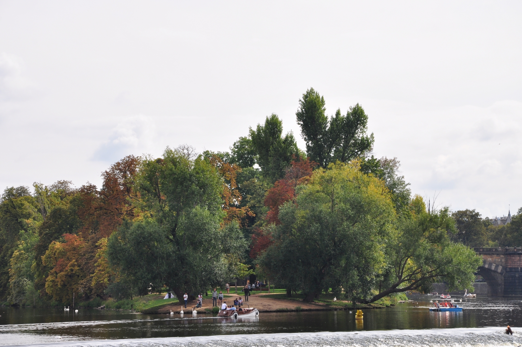 dsc_0270_20180903_9871.jpg