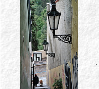 DSC_0211_20180903_9812