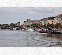 DSC_0311_20180903_9912