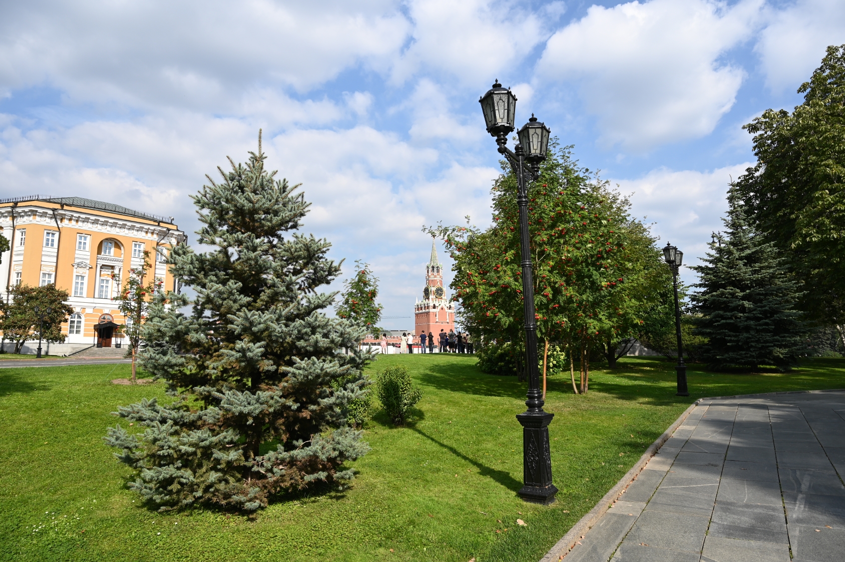 dsc_0315.jpg