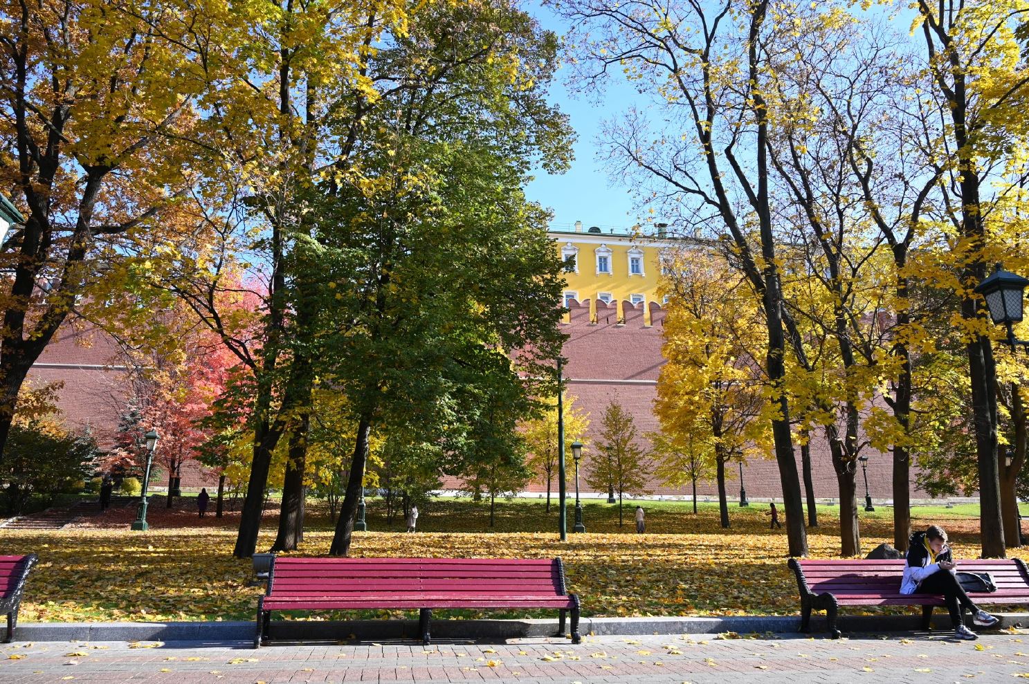 dsc_2024.jpg